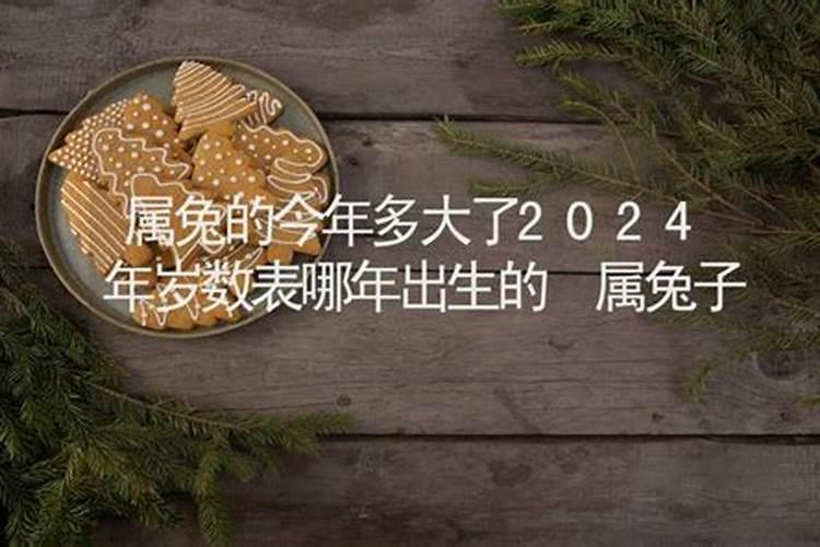 属兔的今年多大的年龄表2023