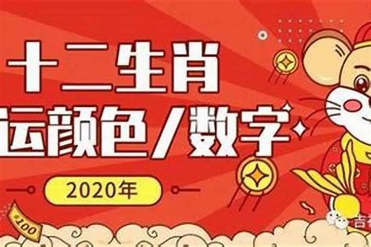 2023年十二生肖幸运色