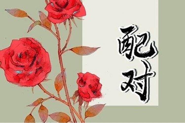 丑时与亥时八字合不合