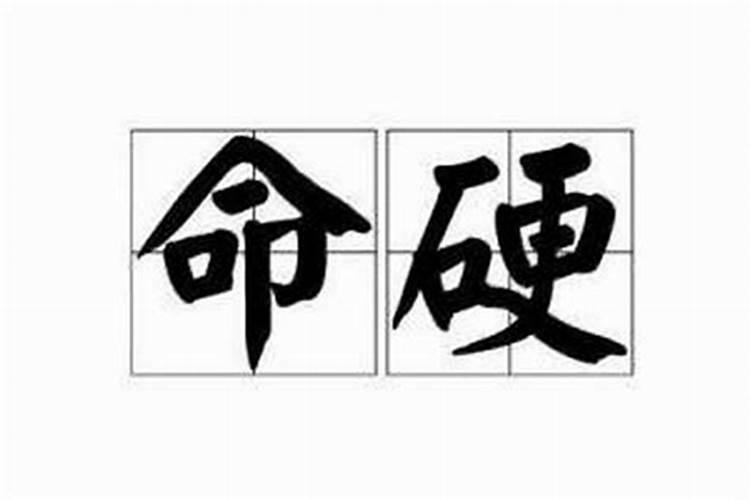 1999年属兔的今年多大了呢