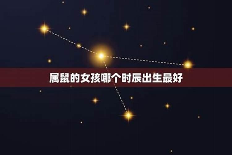 属鼠的啥星座