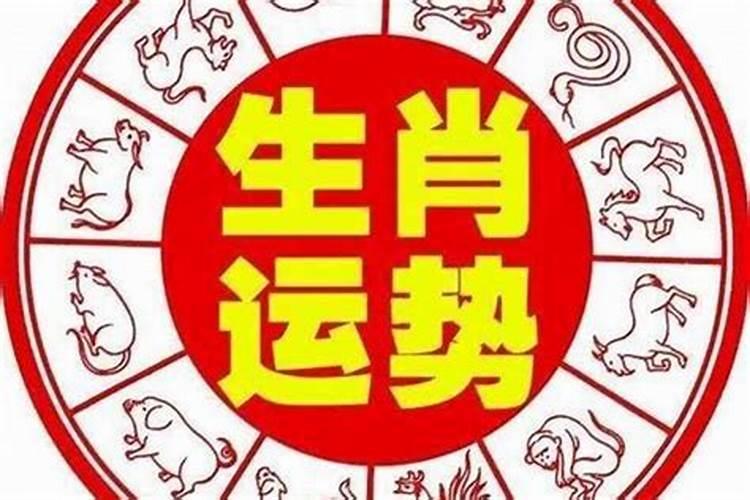 容易冲动发脾气的生肖