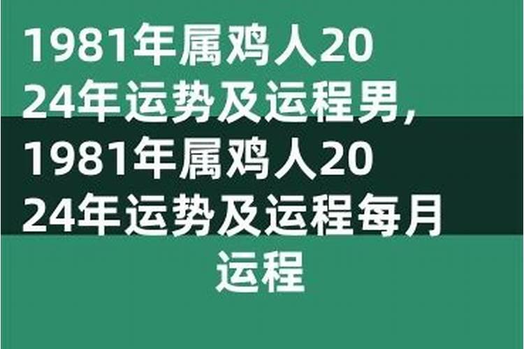 1993一生运势及运程