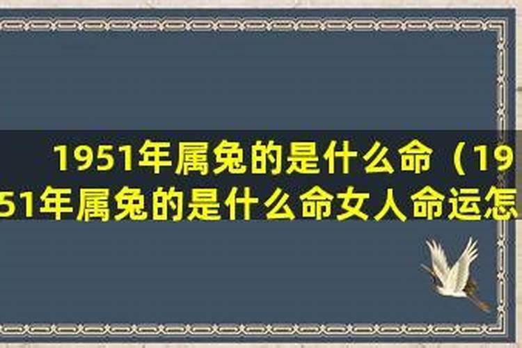 1951年属兔的是什么命缺什么