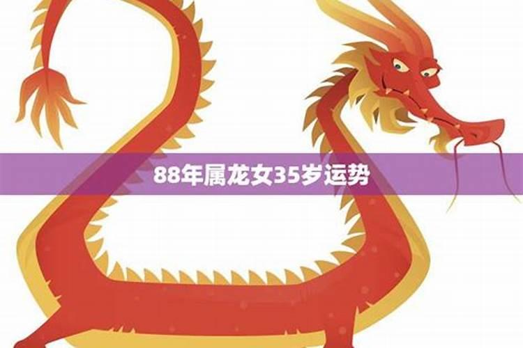 88年属龙的2023年运势如何