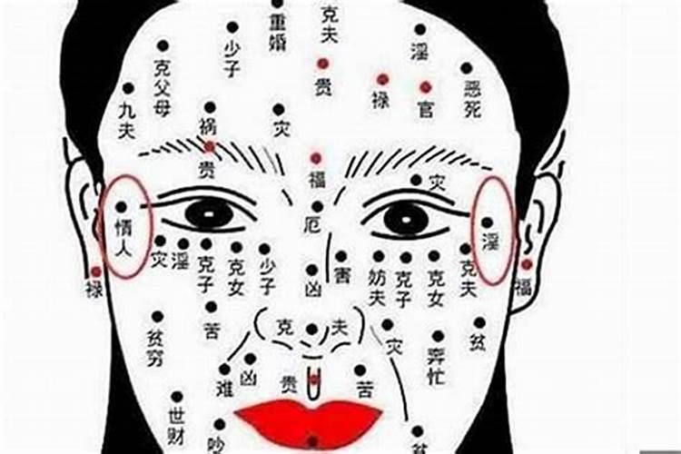 属兔男和属蛇女生什么宝宝好