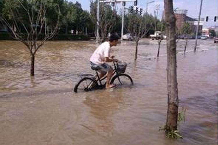 梦见老家发特大洪水