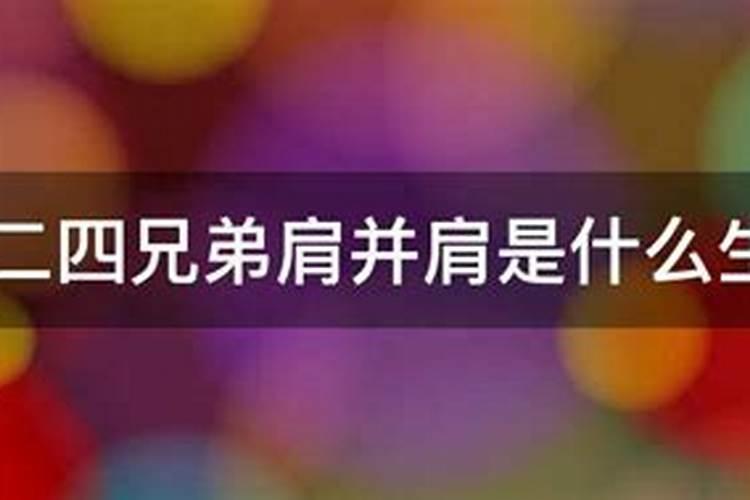 平易近人是什么生肖上四下四有收成是什么生肖动物