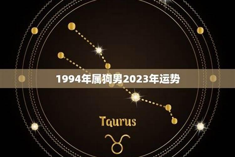 1994年男性狗今年爱情运势