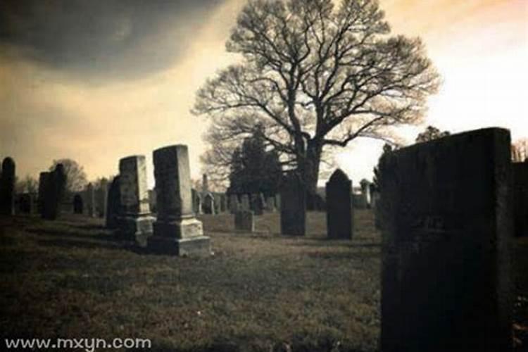 梦见墓地风水很好什么预兆呢