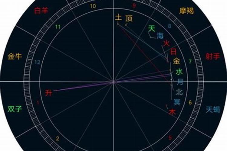 金星落在射手座的爱情观