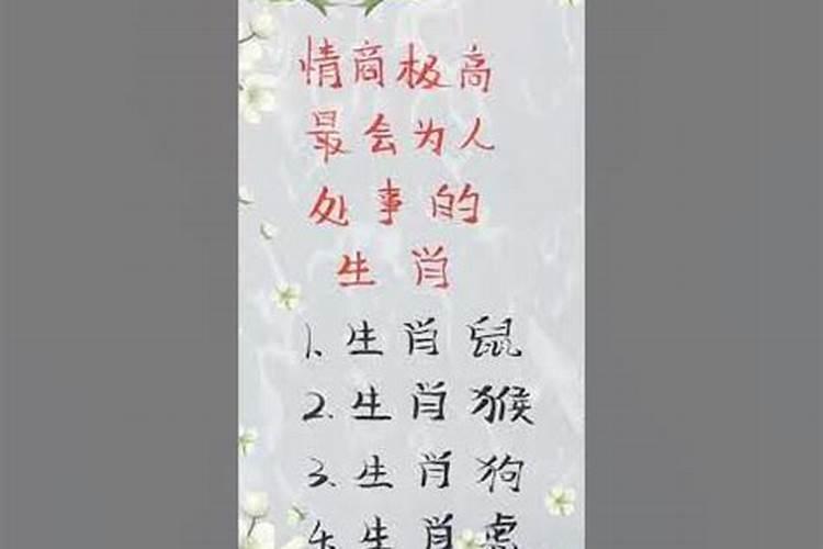 生肖龙情商