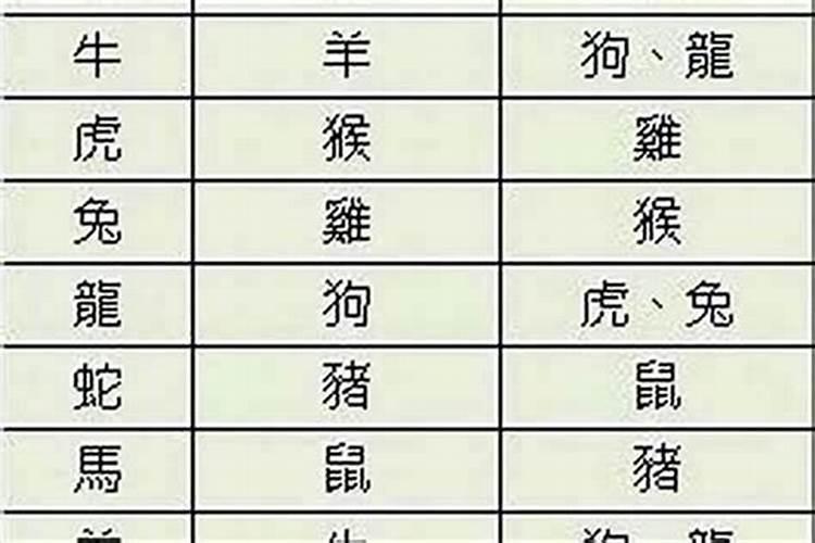 女虎男兔合不合适婚姻