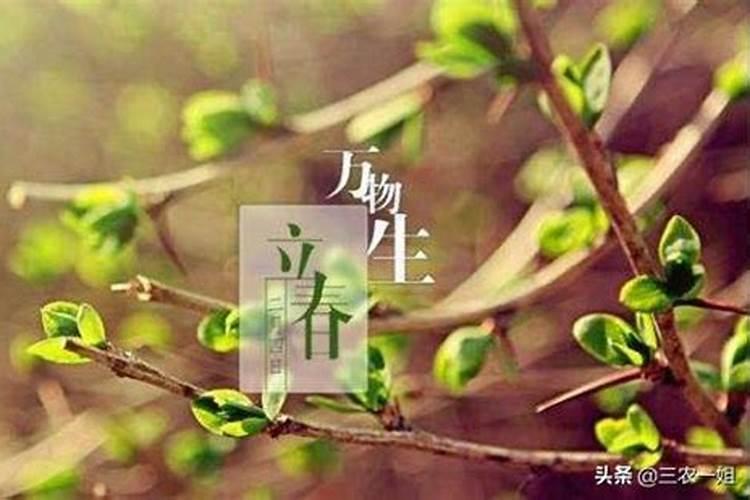 2月几日是立春呢