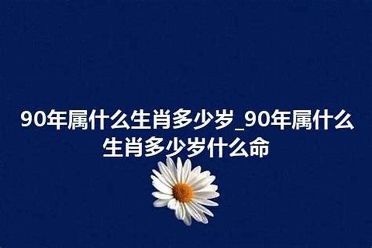 90年的属什么生肖的今年多少岁