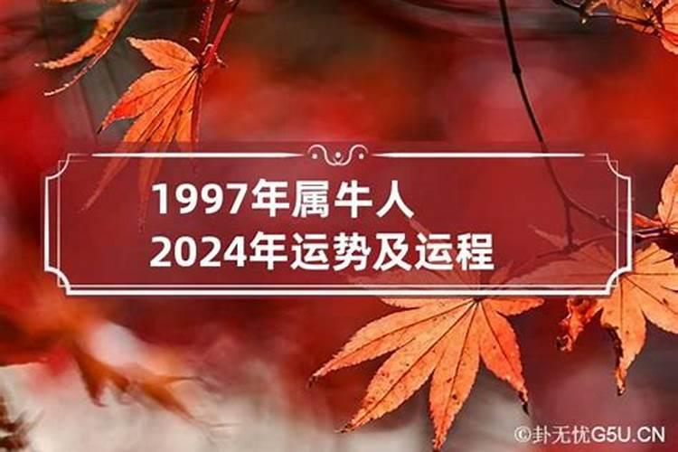 2026年属马一年运程