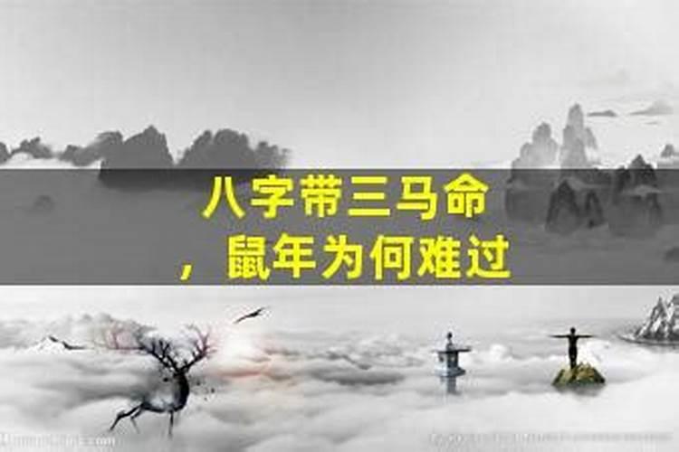 生辰八字带三匹马什么意思