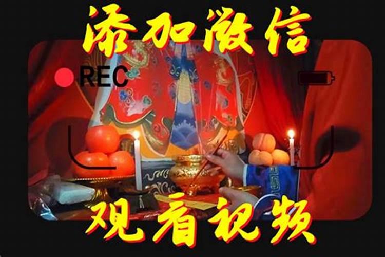 属蛇的今年忌讳什么颜色