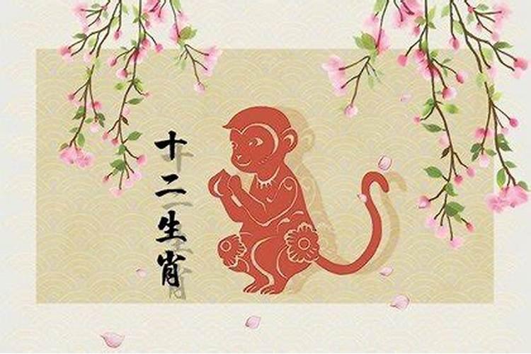 猪年属猴的女士运势怎么样