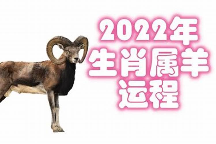 属羊2022年虎年运势运程如何