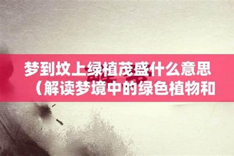 梦见墓地放羊绿草茂盛什么意思