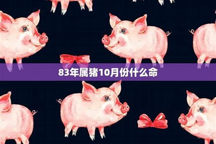 属猪10月份财运怎么样