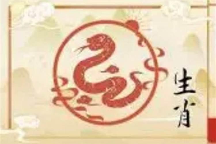 属鼠的人吉祥数字是什么