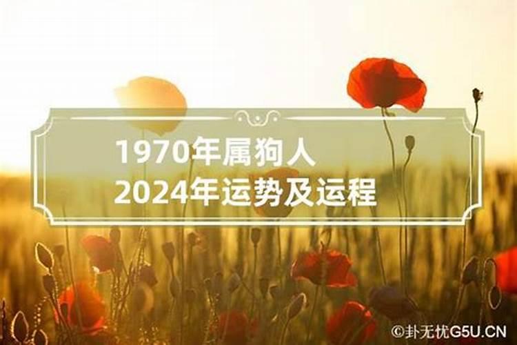 2020年属兔人犯太岁吗女