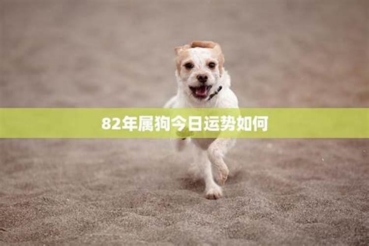 2023年9月份生肖牛运势如何