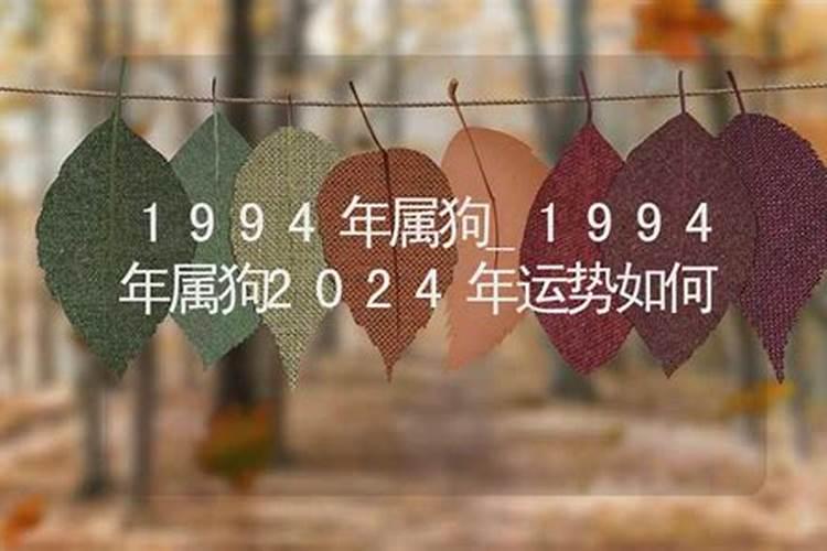 2023年属狗的什么运程