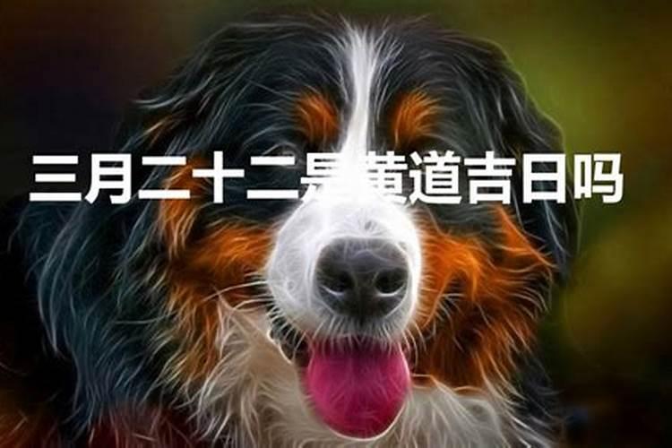 农历三月二十怎么批八字