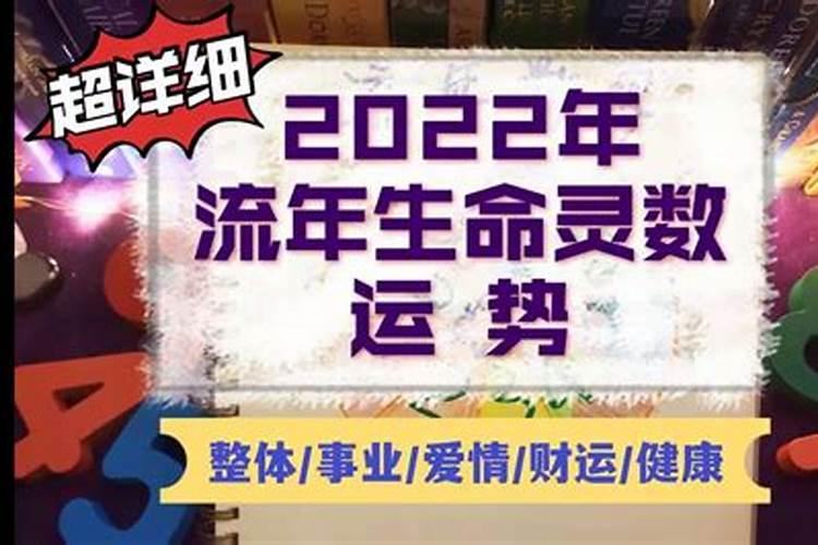 2020生肖运势运程麦玲玲