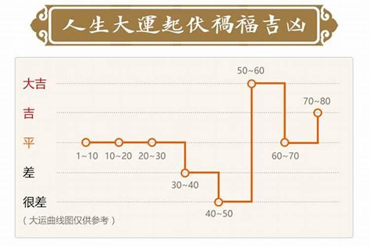 属猪2024年运势及运程女男性