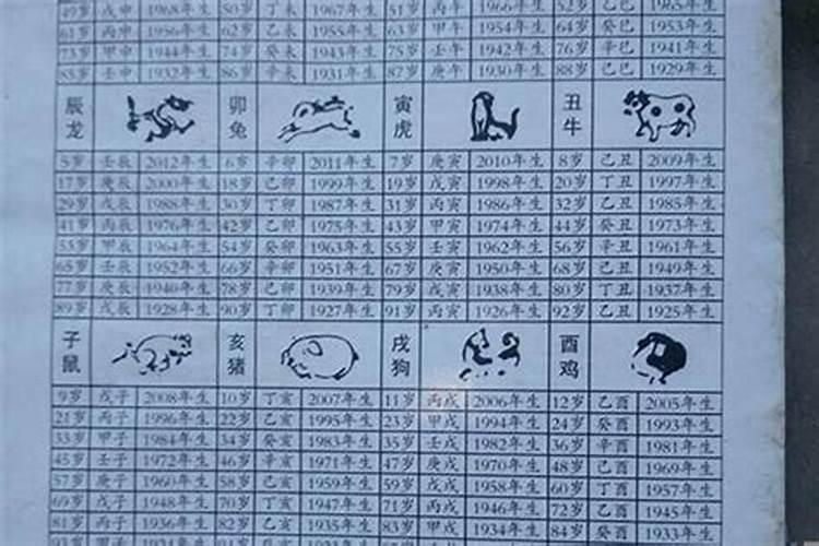 什么八字的人长的好看