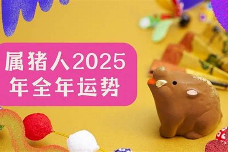 2021年属猪人全年运势详解