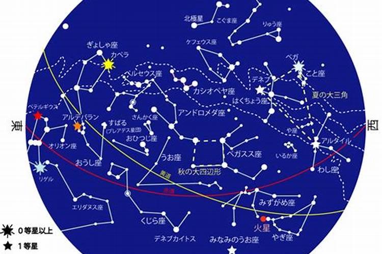 11.8日星座