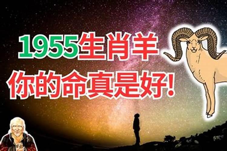 属羊人2024年运程分月