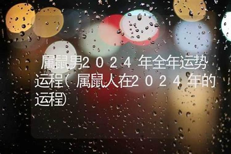 属虎2023年运势及运程吉利数