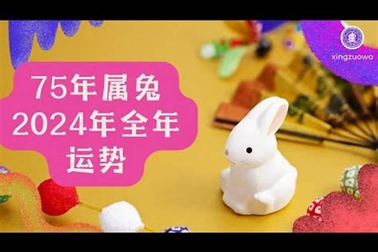 属马是8几年的今年多大年龄