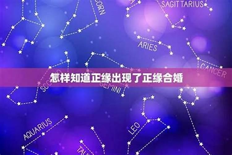 属鸡的2023年的运势怎么样