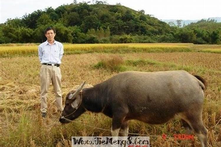 风水中的生龙口是什么意思