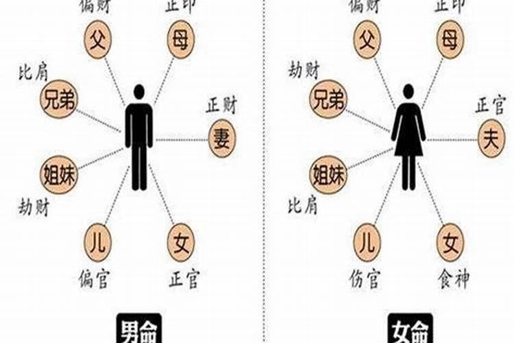 立春犯太岁的属相2021年是什么