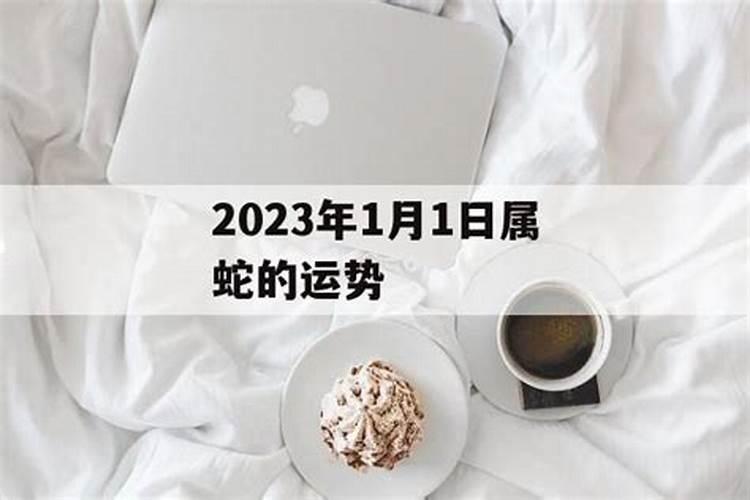 1946年属狗2023年运势及运程