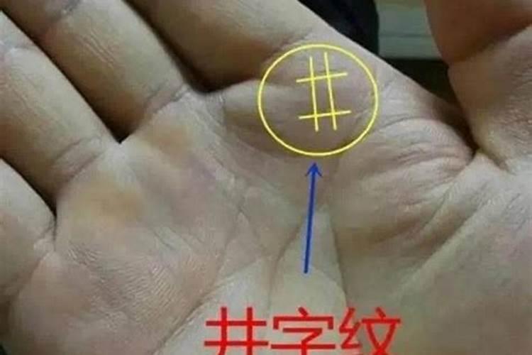 梦到豹子老虎狮子