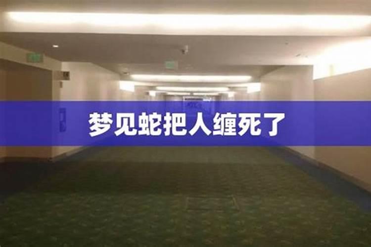 梦见蛇把它踩死了是什么意思