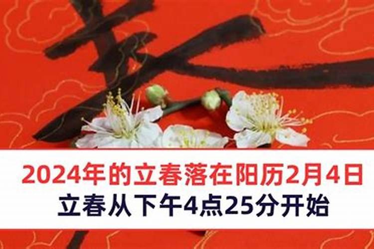 女狗2023运势如何