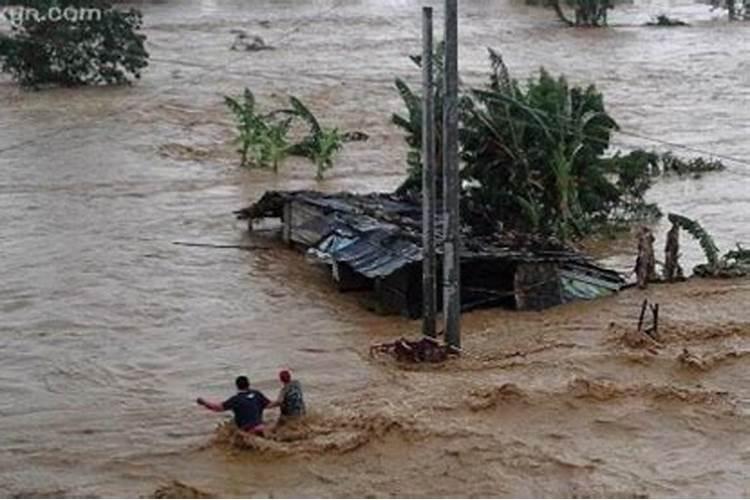 梦见大雨成灾洪水泛滥