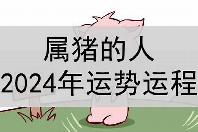 白羊座今年运势2022陶白白