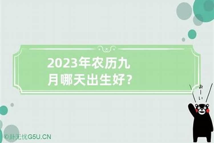 2023年小年阴历哪天