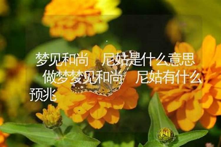 做梦梦见尼姑什么意思